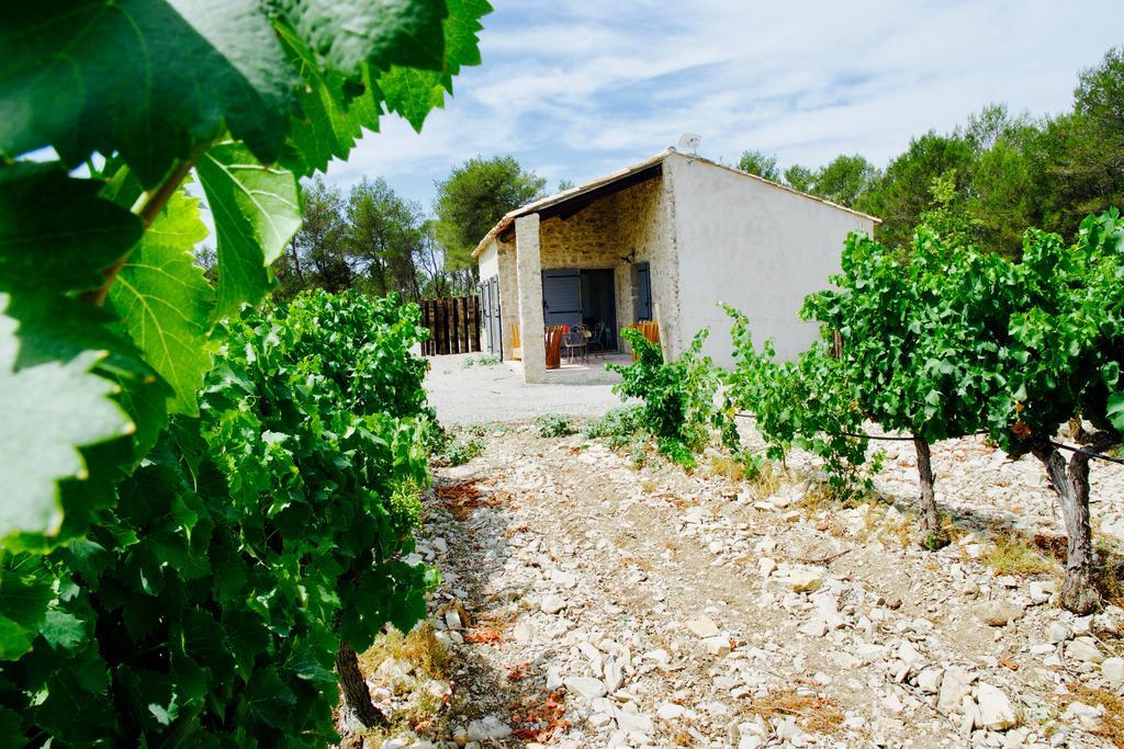 Les Lodges Du Pic Le Triadou ภายนอก รูปภาพ
